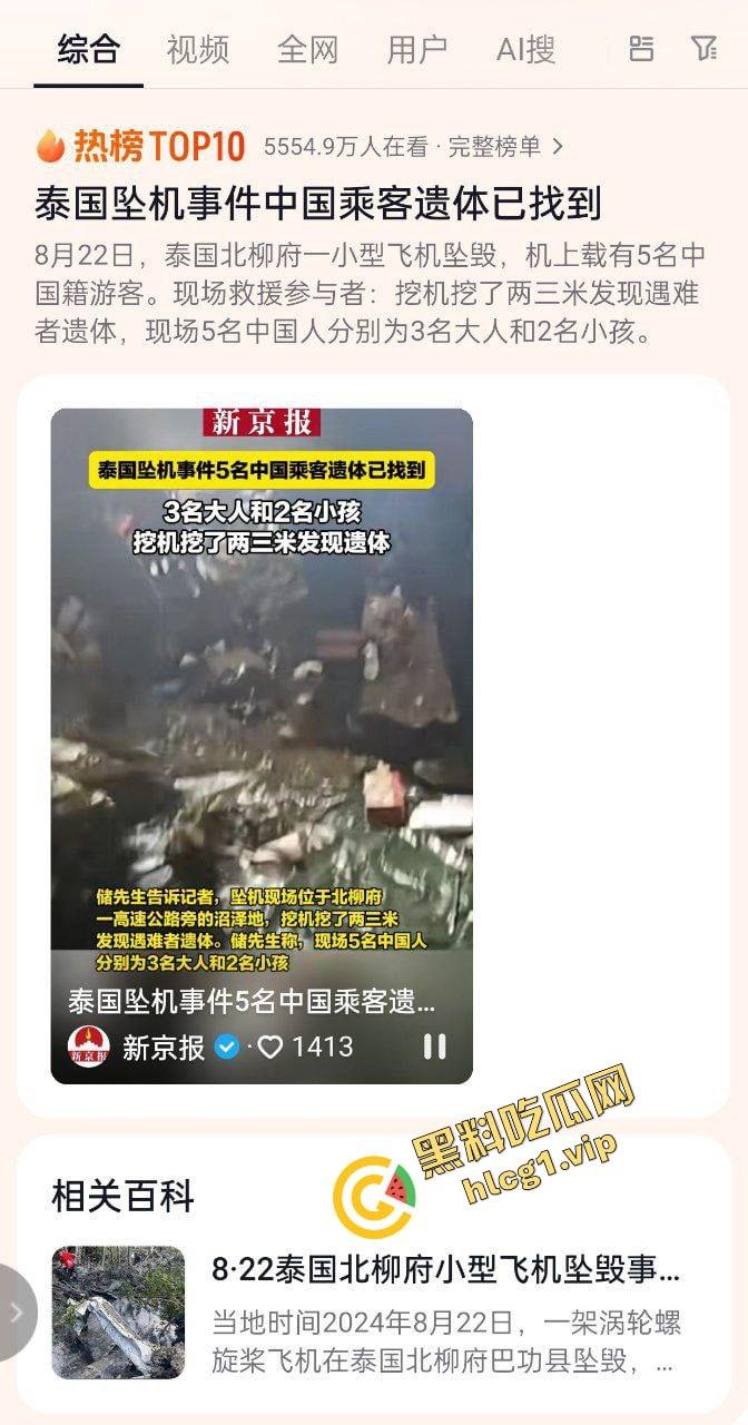 泰国坠机空难事件！于泰国北柳府坠毁 9人全部死亡 有5人为中国人！  第1张