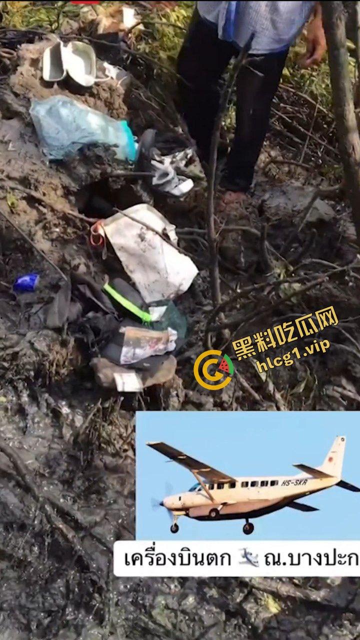 泰国坠机空难事件！于泰国北柳府坠毁 9人全部死亡 有5人为中国人！  第8张