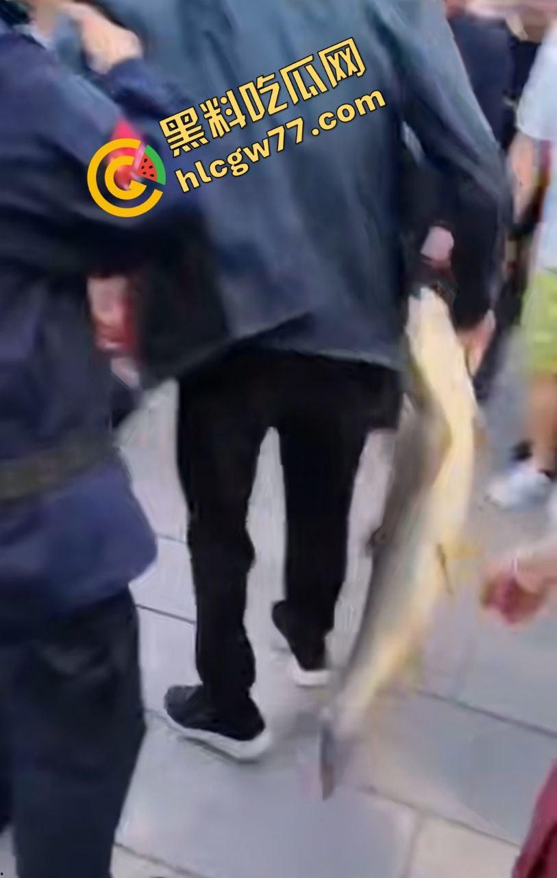 浙江宁波月湖公园惊爆变态大瓜，男子偷鱼用鱼嘴撸管，保安抓场逼放生！  第4张