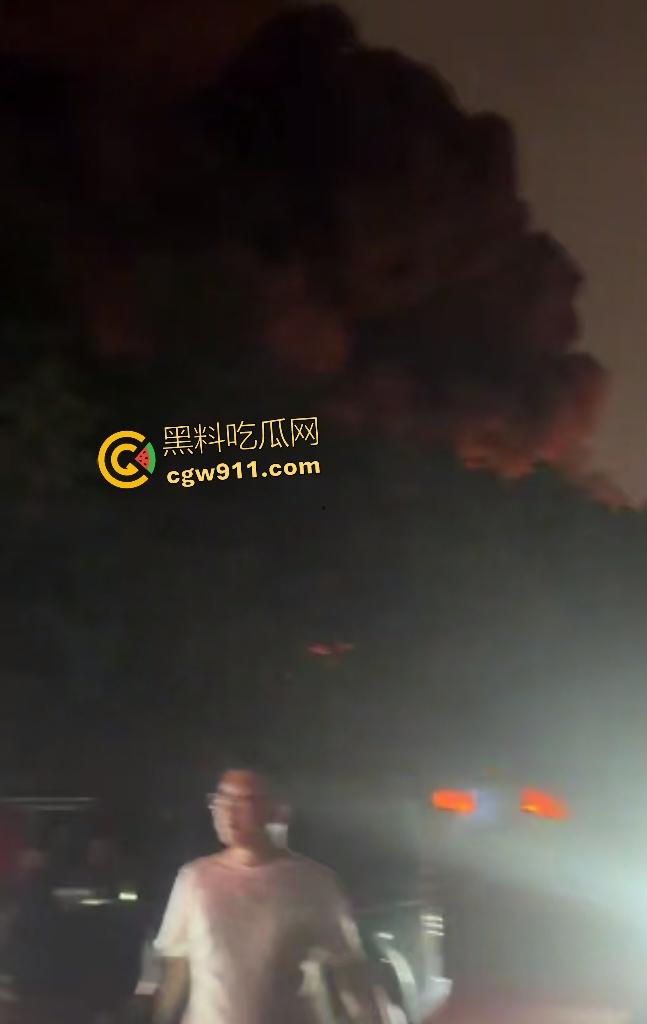 宁波姜山镇顺丰物流仓库惊天大火！高压路奥克斯旁熊熊烈焰，20余辆消防车鏖战一小时勉强控火！  第3张