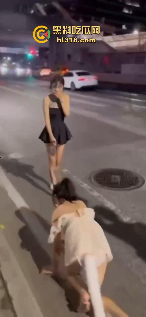 极品好闺蜜深夜路边户外露出调教，白嫩小母狗牵引沿路爬行，真听话是个好狗狗！  第4张