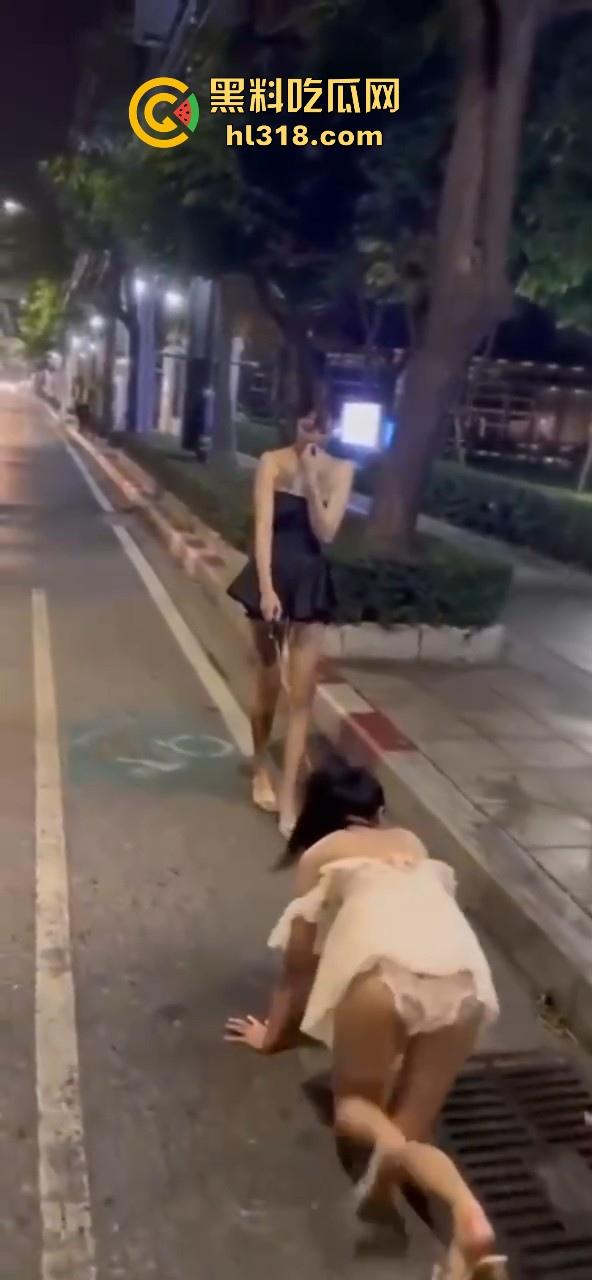 极品好闺蜜深夜路边户外露出调教，白嫩小母狗牵引沿路爬行，真听话是个好狗狗！  第7张