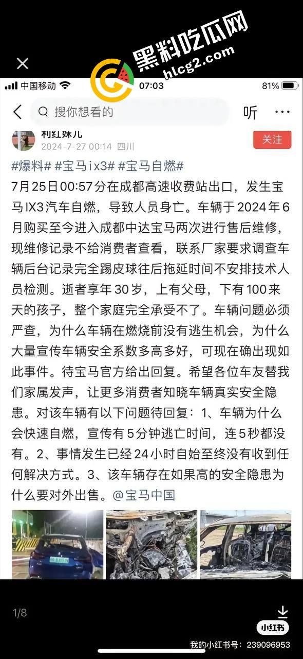 四川成都宝马新能源电车自燃事件！男子超速撞上安全岛 车毁人亡 瞬间火葬当场！  第3张