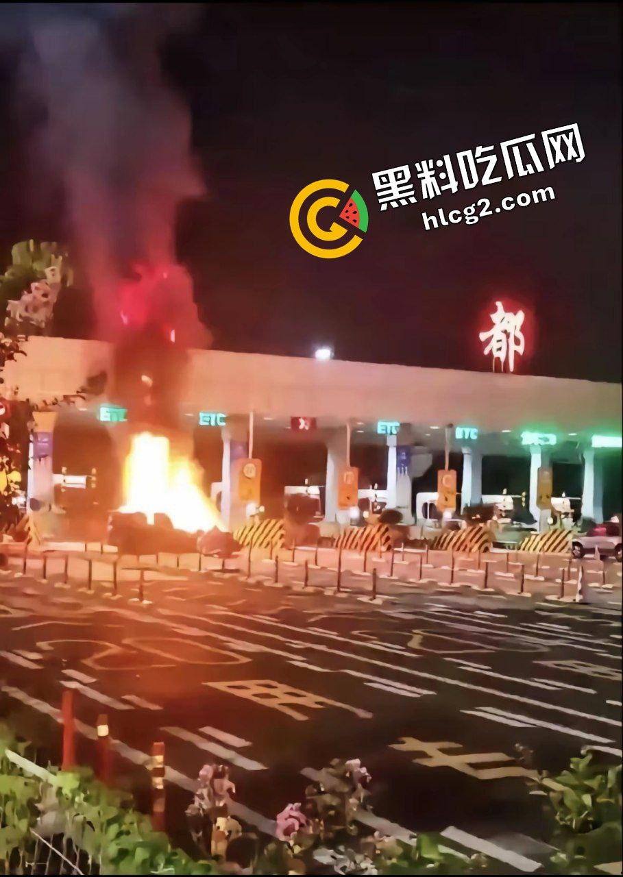 四川成都宝马新能源电车自燃事件！男子超速撞上安全岛 车毁人亡 瞬间火葬当场！  第8张