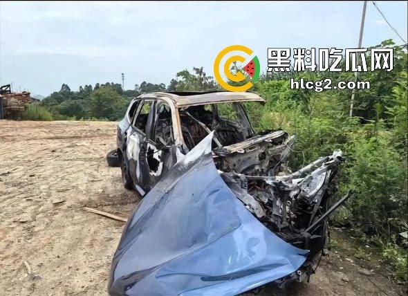 四川成都宝马新能源电车自燃事件！男子超速撞上安全岛 车毁人亡 瞬间火葬当场！  第13张
