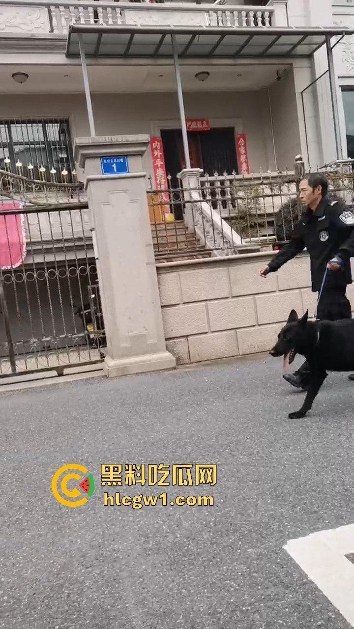 浙江义乌南山区地毯式搜索凶手!群众瑟瑟发抖,警方封锁整片山林! 第8张 浙江义乌南山区地毯式搜索凶手!群众瑟瑟发抖,警方封锁整片山林! 第8张