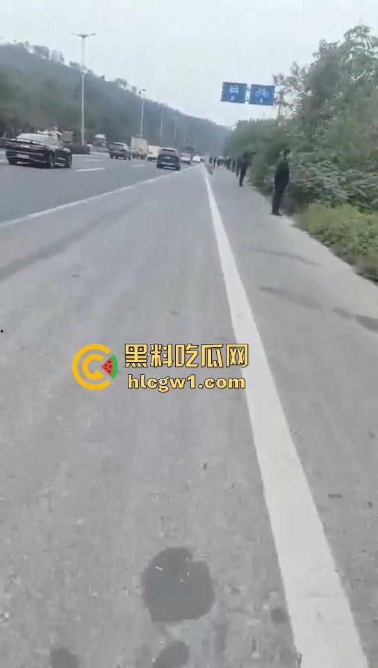 浙江义乌南山区地毯式搜索凶手!群众瑟瑟发抖,警方封锁整片山林! 第9张 浙江义乌南山区地毯式搜索凶手!群众瑟瑟发抖,警方封锁整片山林! 第9张