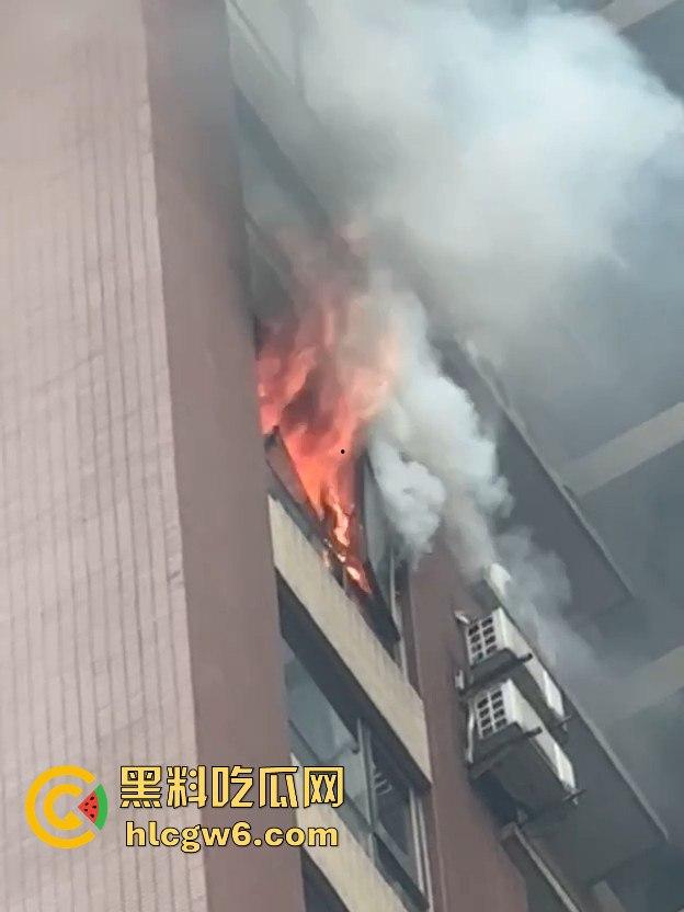 四川乐山峨眉维多利亚小区突发火灾,火灾具体什么原因引起的待确定中，出门在外一定要做好防火。  第3张