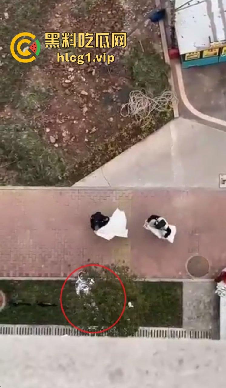 畜生啊!得不到那就下药啊!重庆科技学院 女生被轮奸跳楼! 第11张 畜生啊!得不到那就下药啊!重庆科技学院 女生被轮奸跳楼! 第11张