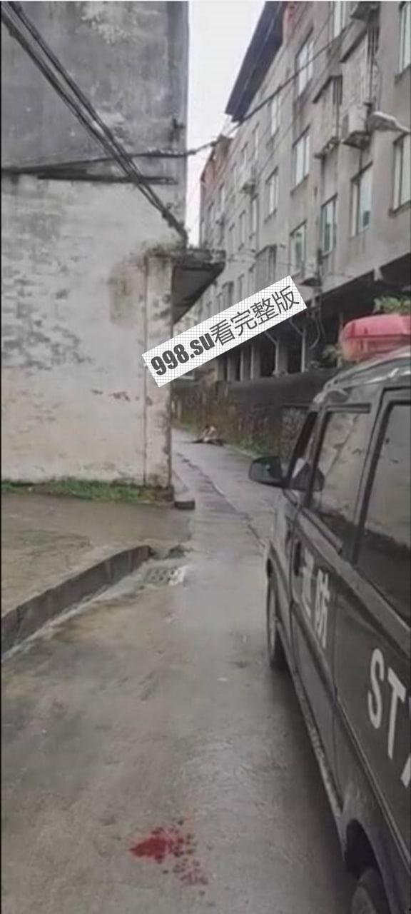 平阳水头镇麻车路 某男子当街持刀砍父母  第2张