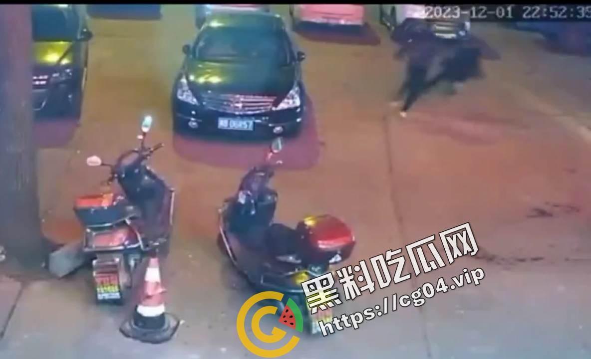 株洲攸县黄图岭镇怒杀出轨女和情夫 现场监控画面 血如水流  第5张