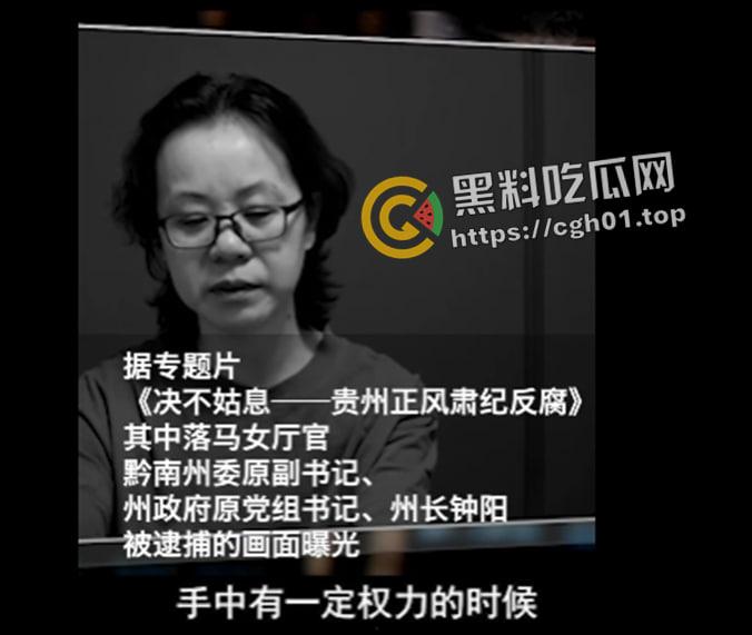 原贵州黔南州长【钟阳】包养五十多名男妃 性生活一次需要十几名男人满足 女高官淫趴视频被流出 第5张 原贵州黔南州长【钟阳】包养五十多名男妃 性生活一次需要十几名男人满足 女高官淫趴视频被流出 第5张