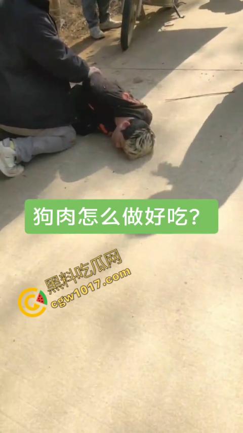 广西村民抓住偷狗贼,脱光殴打,场面血腥凶残,围观村民挥棒狂殴,男子惨嚎不断,村民誓要为爱犬复仇! 第3张 广西村民抓住偷狗贼,脱光殴打,场面血腥凶残,围观村民挥棒狂殴,男子惨嚎不断,村民誓要为爱犬复仇! 第3张