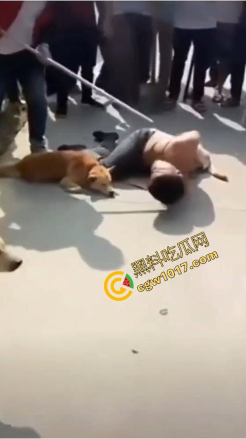 广西村民抓住偷狗贼,脱光殴打,场面血腥凶残,围观村民挥棒狂殴,男子惨嚎不断,村民誓要为爱犬复仇! 第4张 广西村民抓住偷狗贼,脱光殴打,场面血腥凶残,围观村民挥棒狂殴,男子惨嚎不断,村民誓要为爱犬复仇! 第4张