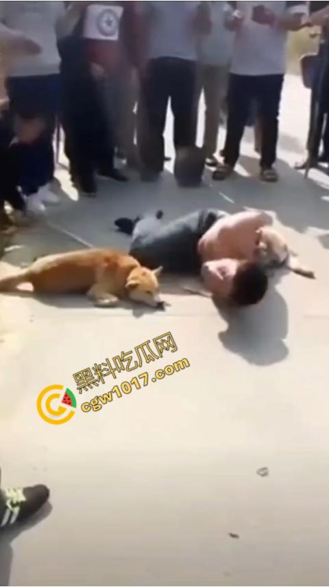 广西村民抓住偷狗贼,脱光殴打,场面血腥凶残,围观村民挥棒狂殴,男子惨嚎不断,村民誓要为爱犬复仇! 第5张 广西村民抓住偷狗贼,脱光殴打,场面血腥凶残,围观村民挥棒狂殴,男子惨嚎不断,村民誓要为爱犬复仇! 第5张