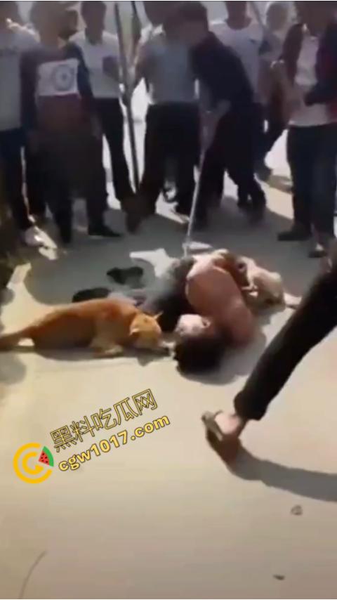 广西村民抓住偷狗贼,脱光殴打,场面血腥凶残,围观村民挥棒狂殴,男子惨嚎不断,村民誓要为爱犬复仇! 第9张 广西村民抓住偷狗贼,脱光殴打,场面血腥凶残,围观村民挥棒狂殴,男子惨嚎不断,村民誓要为爱犬复仇! 第9张