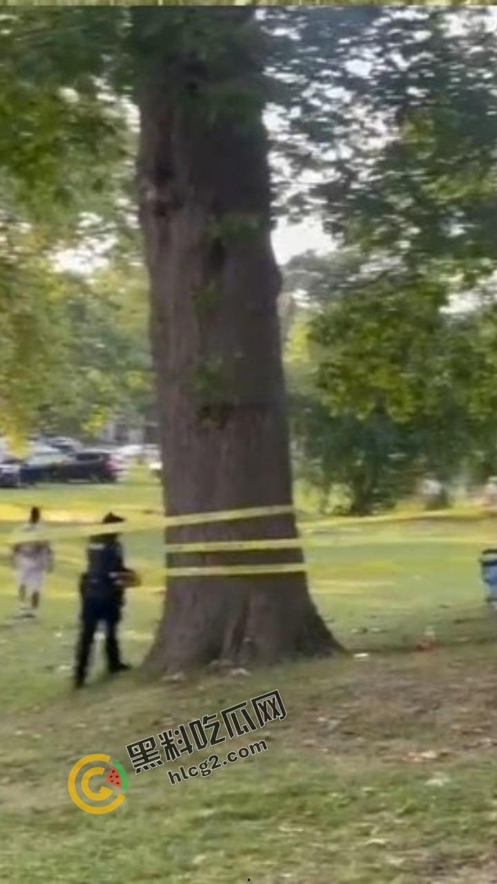 自由美利坚的凶暴现实!纽约罗切斯特市公园枪击事件,1死6伤引发社区恐慌! 第1张 自由美利坚的凶暴现实!纽约罗切斯特市公园枪击事件,1死6伤引发社区恐慌! 第1张