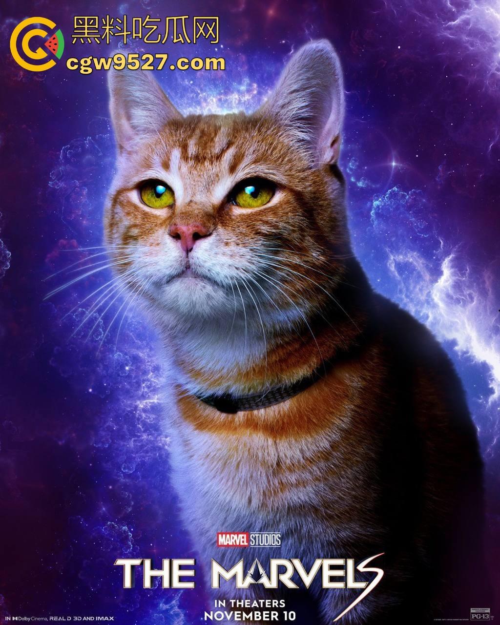 漫威英雄电影【惊奇队长2】高清上映啦！能力战斗力爆表的超级女英雄，让我们走进看看她的故事吧！  第3张