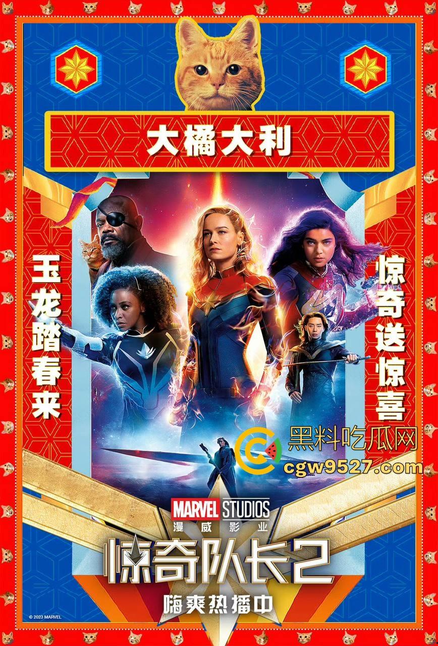 漫威英雄电影【惊奇队长2】高清上映啦！能力战斗力爆表的超级女英雄，让我们走进看看她的故事吧！  第6张