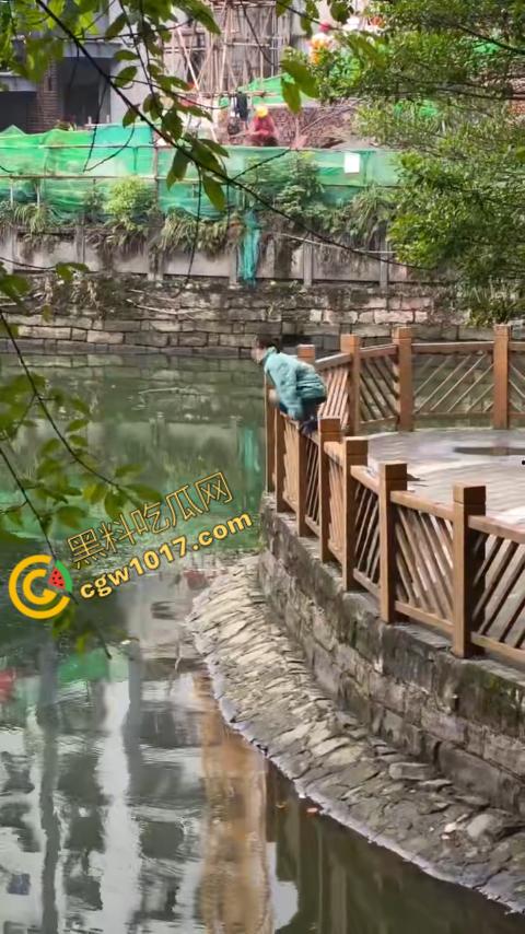 重庆湖边惊魂：绝望女子跳湖，勇敢路人生死救美，惊险拯救，揪心一刻，心跳加速，惊险刺激！  第2张