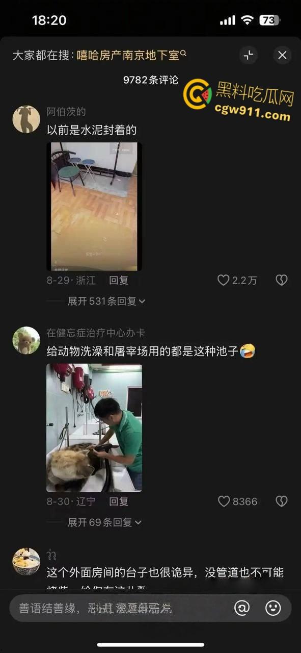 南京建邺区安民村某住宅，被房产中介发现地下室通道，建房期间正是1996年南京碎尸案，血腥味隐约飘密布水龙头！  第5张