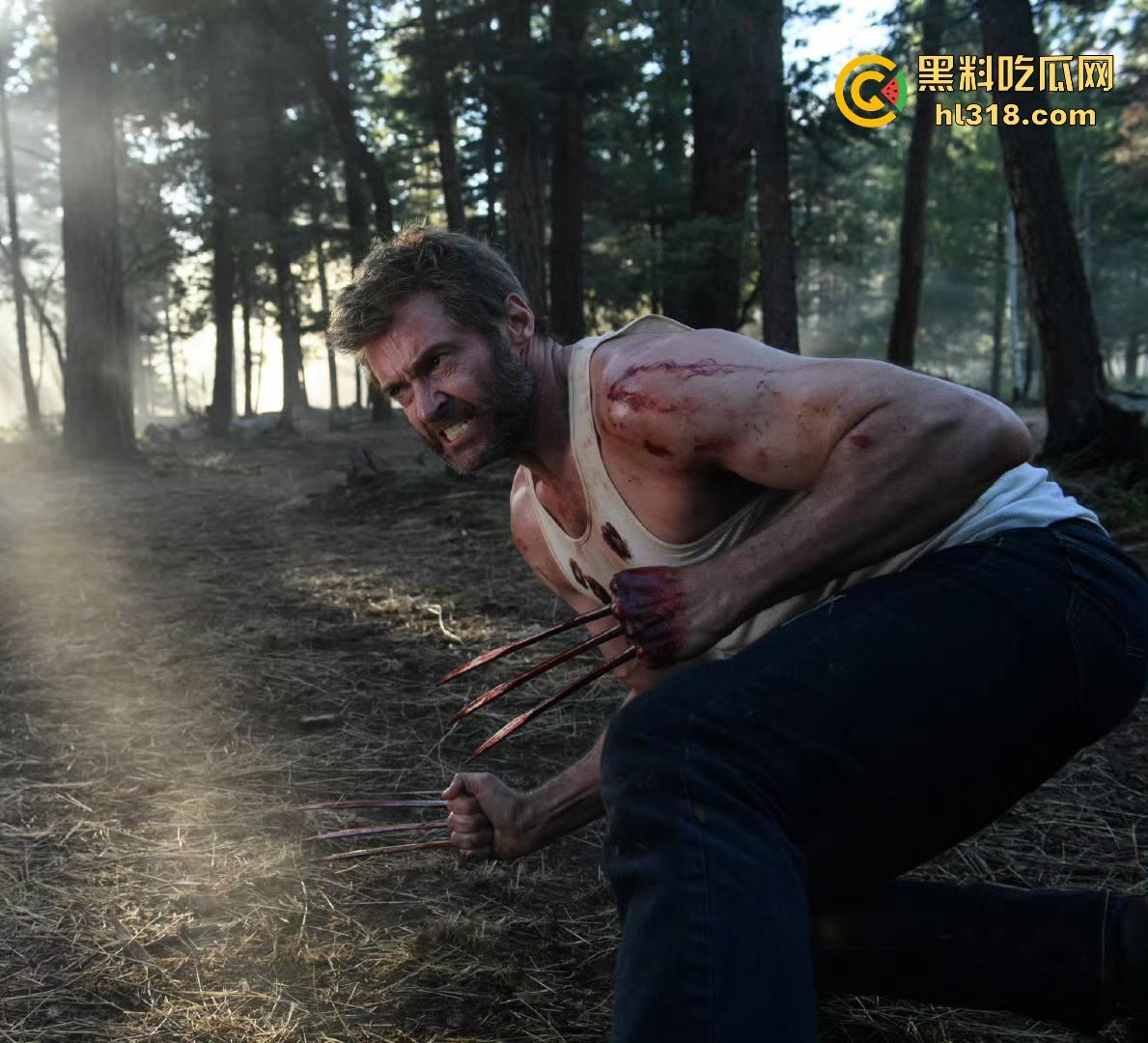 欧美超级大片《金刚狼3》火爆来袭，超级英雄的告别，垂垂老矣，再也没有了往昔的风光。  第4张