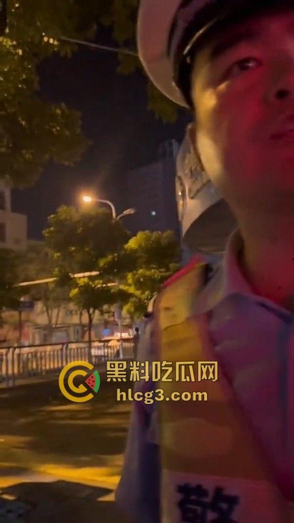 河南漯河暴力执法！男子举报警察查酒驾期间遭暴力搜车与殴打，行车记录仪被强行夺走！  第4张