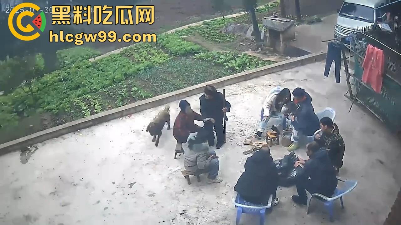 重庆狗子掉进粪坑惨变生化武器 出坑后全家总动员 结果反被狗狂追满院狂喷 粪味冲天！  第2张