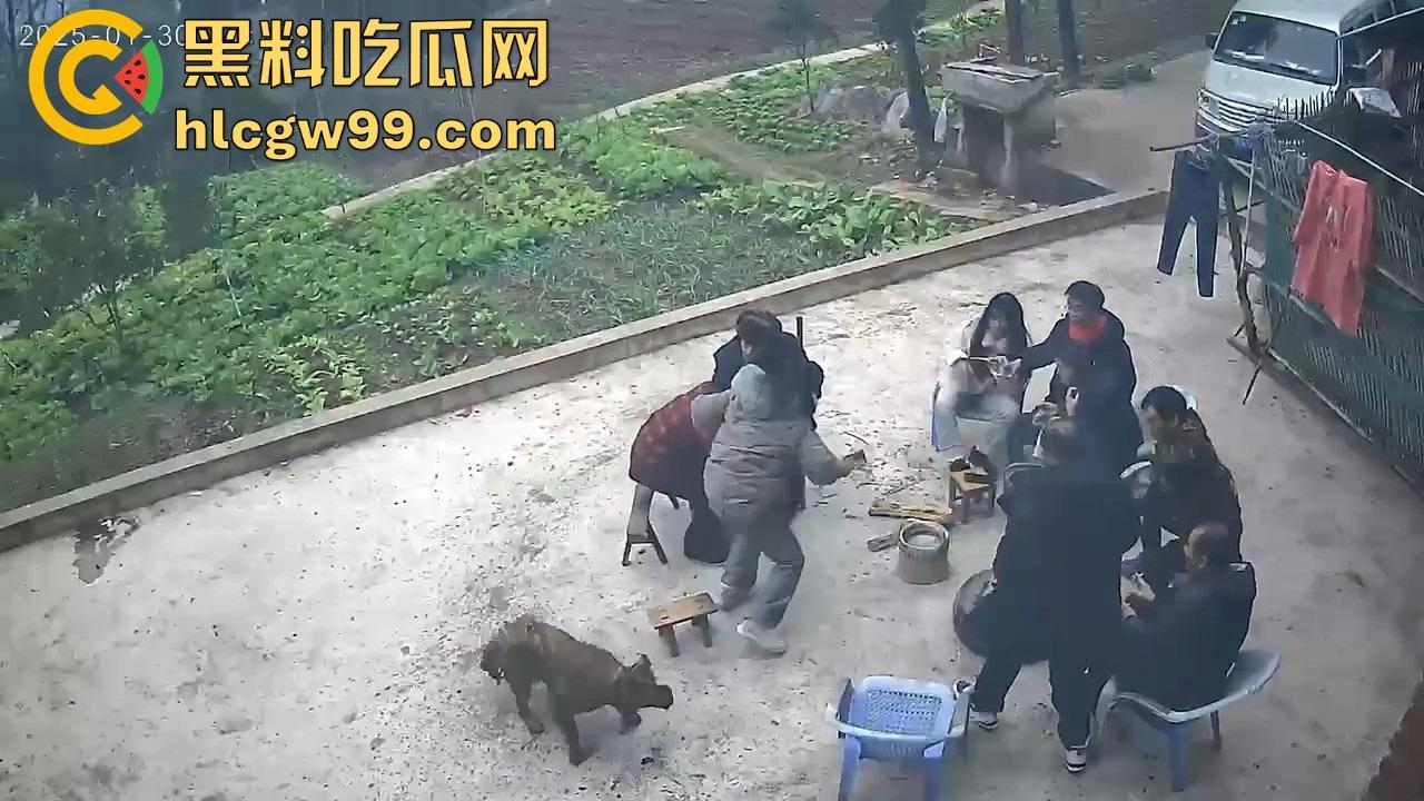 重庆狗子掉进粪坑惨变生化武器 出坑后全家总动员 结果反被狗狂追满院狂喷 粪味冲天！  第3张