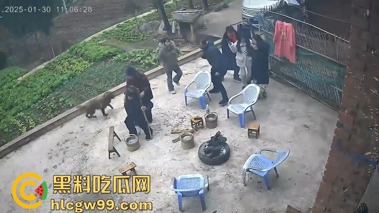 重庆狗子掉进粪坑惨变生化武器 出坑后全家总动员 结果反被狗狂追满院狂喷 粪味冲天！  第5张