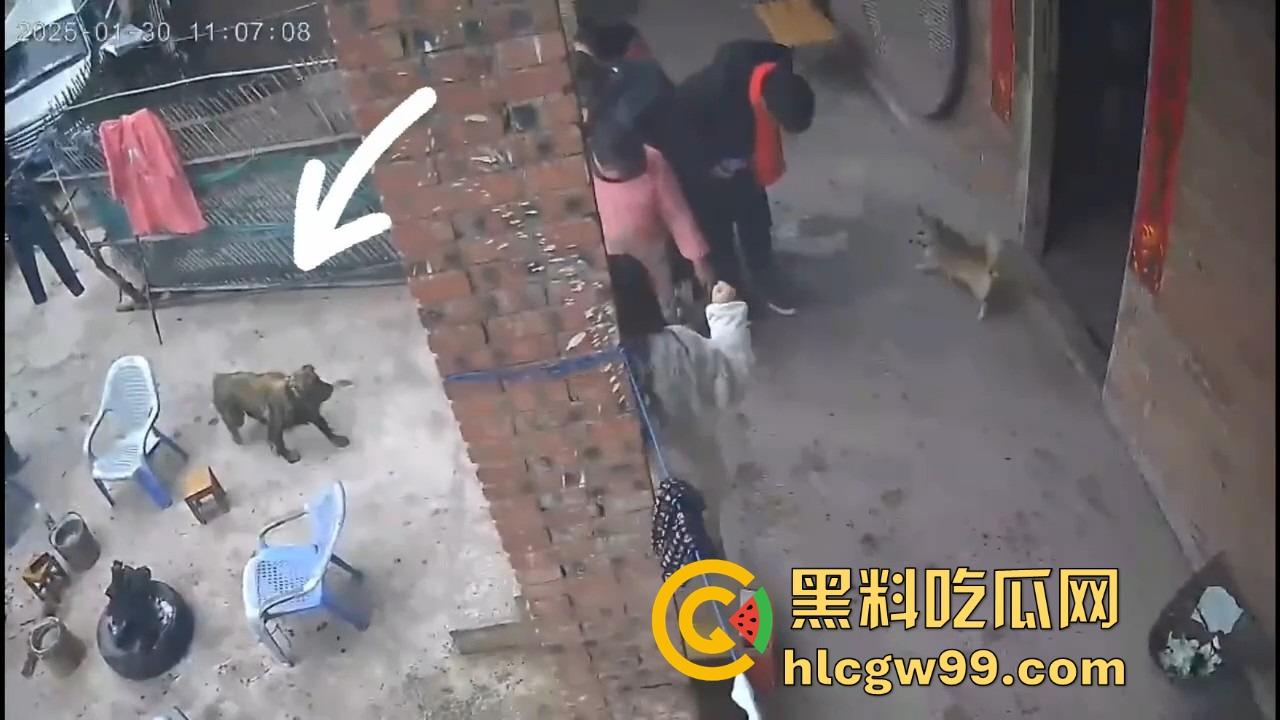 重庆狗子掉进粪坑惨变生化武器 出坑后全家总动员 结果反被狗狂追满院狂喷 粪味冲天！  第7张