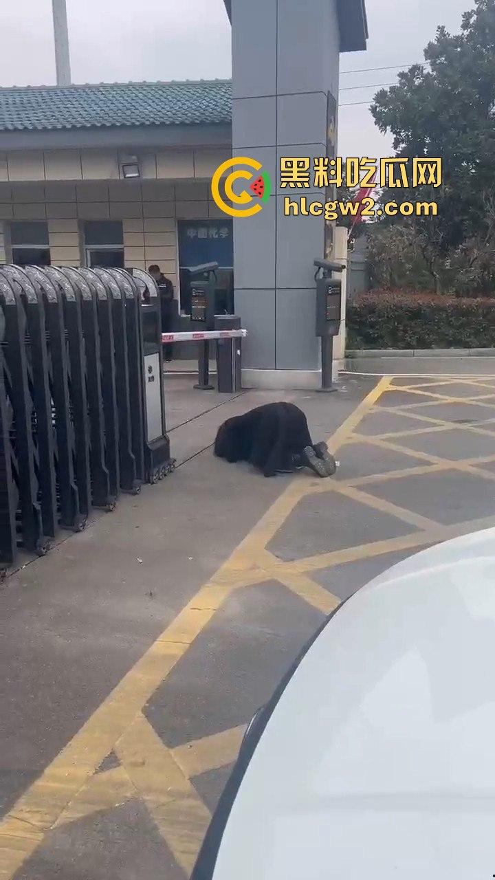 江苏女子匍匐跪地讨18万工钱！抱住腿痛哭求怜悯，欠薪公司无动于衷近20天仍赖账！  第6张