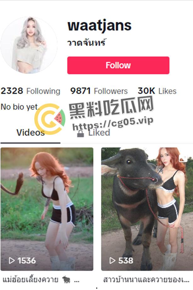 烤肉西施 泰国模特【瓦赞】顶级杂志阁楼签约模特 女同做爱磨豆腐视频曝光 极品大胸  第1张