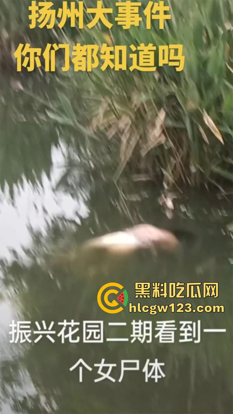 扬州振兴花园二期河道，发现一具21岁女尸，全身赤裸疑似是被害，打捞画面流出，胆小者勿入！  第3张