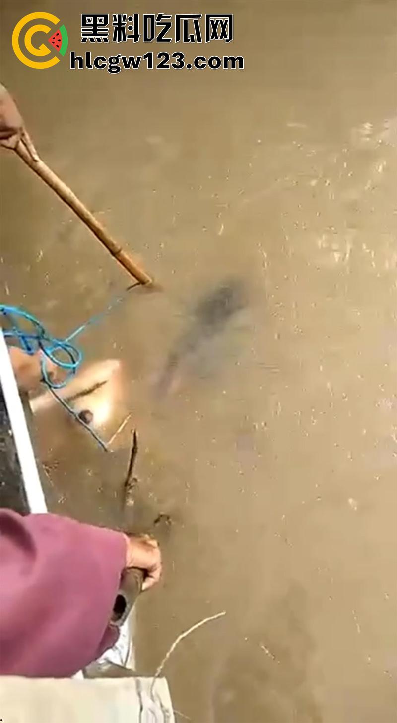 扬州振兴花园二期河道，发现一具21岁女尸，全身赤裸疑似是被害，打捞画面流出，胆小者勿入！  第7张