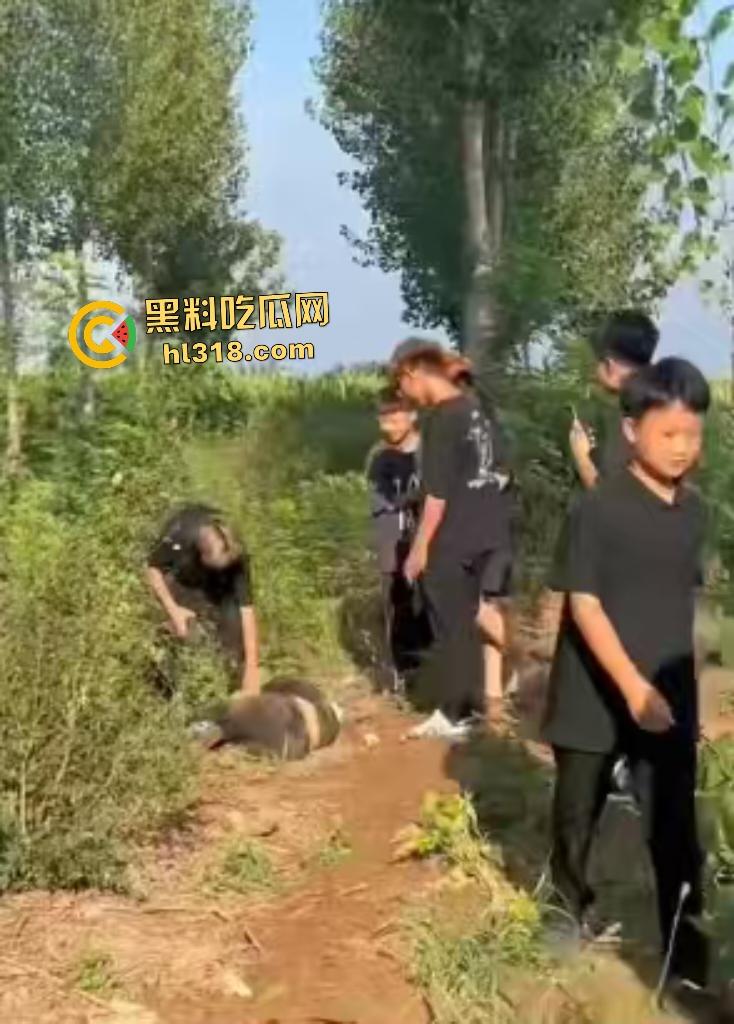 河北邢台精神小伙们因男生考试不给抄答案直接拉到树林旁暴揍，一旁拍照女生还说好帅啊！  第4张