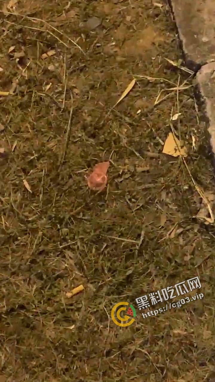 城市学院 小情侣校园路灯下台阶户外活动 被女生宿舍全程偷拍下来 还带解说野战  第3张