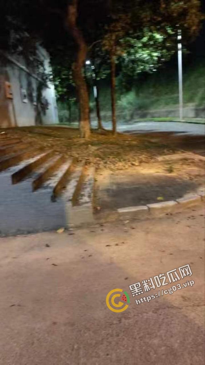 城市学院 小情侣校园路灯下台阶户外活动 被女生宿舍全程偷拍下来 还带解说野战  第4张
