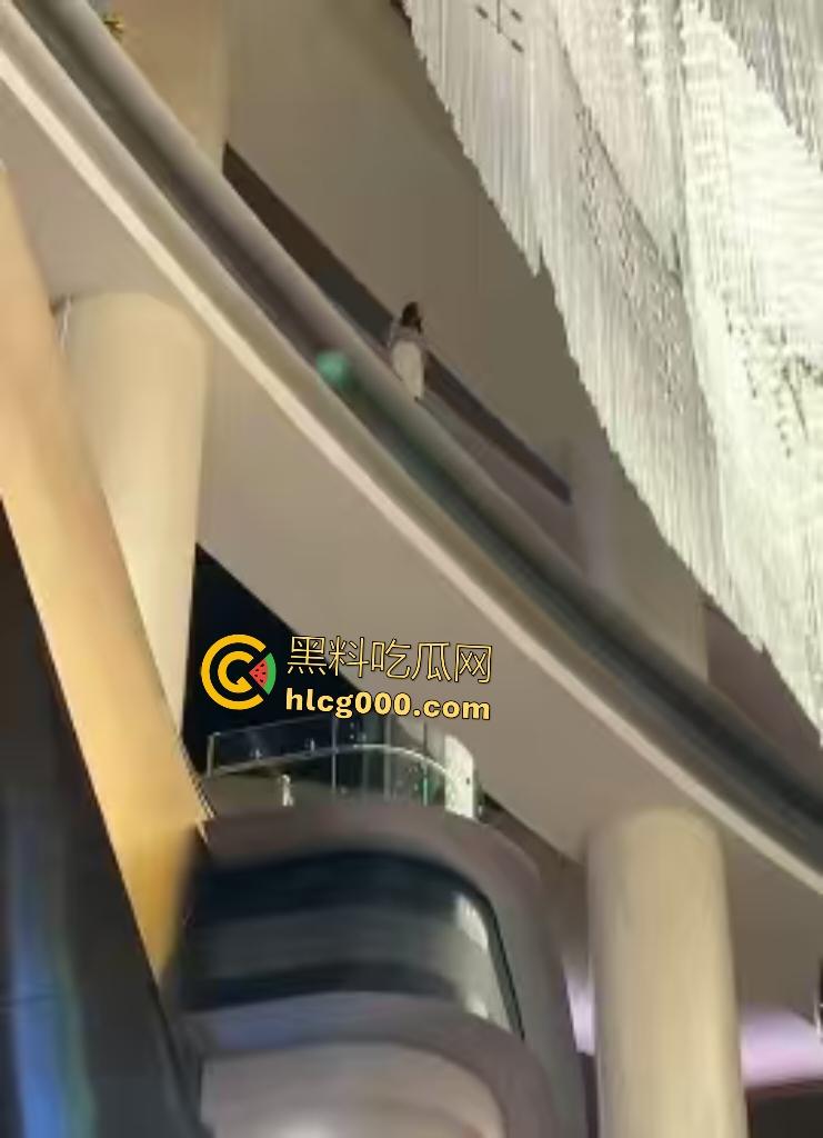 澳门金沙女子因欠下巨额赌债,在高楼跳楼,最后直接被消防人员一把拉下! 第7张 澳门金沙女子因欠下巨额赌债,在高楼跳楼,最后直接被消防人员一把拉下! 第7张