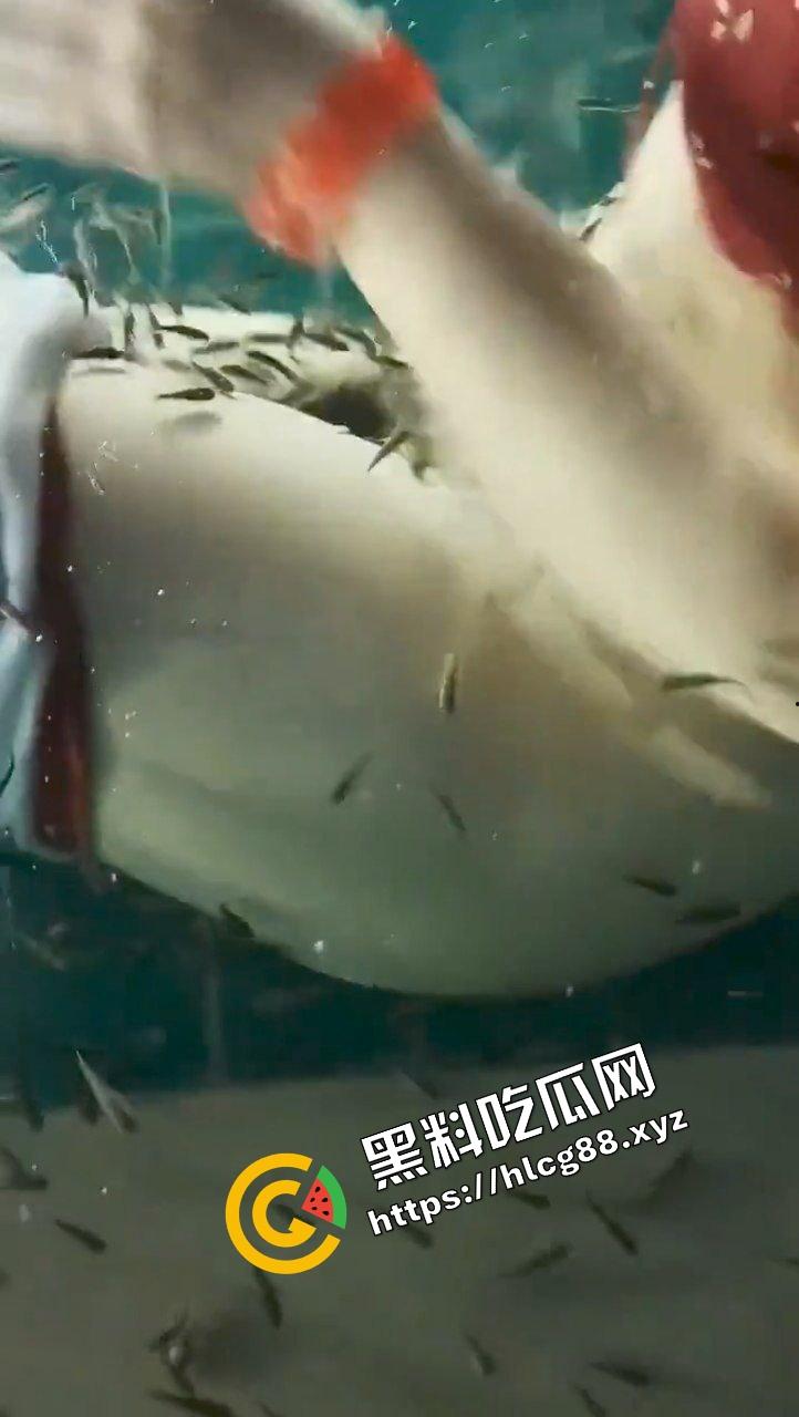 小蝌蚪找妈妈猎奇调教!将骚鸡少妇丢进池塘喂小鱼,发臭骚逼吸引蝌蚪钻逼与卵细胞结合! 第6张 小蝌蚪找妈妈猎奇调教!将骚鸡少妇丢进池塘喂小鱼,发臭骚逼吸引蝌蚪钻逼与卵细胞结合! 第6张