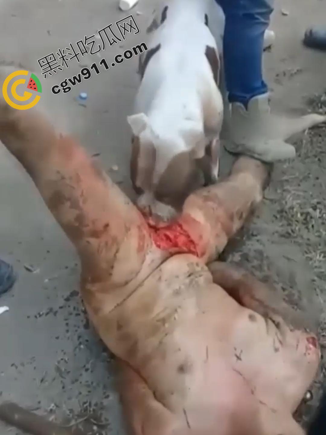 墨西哥城黑帮刑事件:裸男遭受斗牛犬撕咬生吞下体生殖器,画面血腥到令人作呕! 第3张 墨西哥城黑帮刑事件:裸男遭受斗牛犬撕咬生吞下体生殖器,画面血腥到令人作呕! 第3张