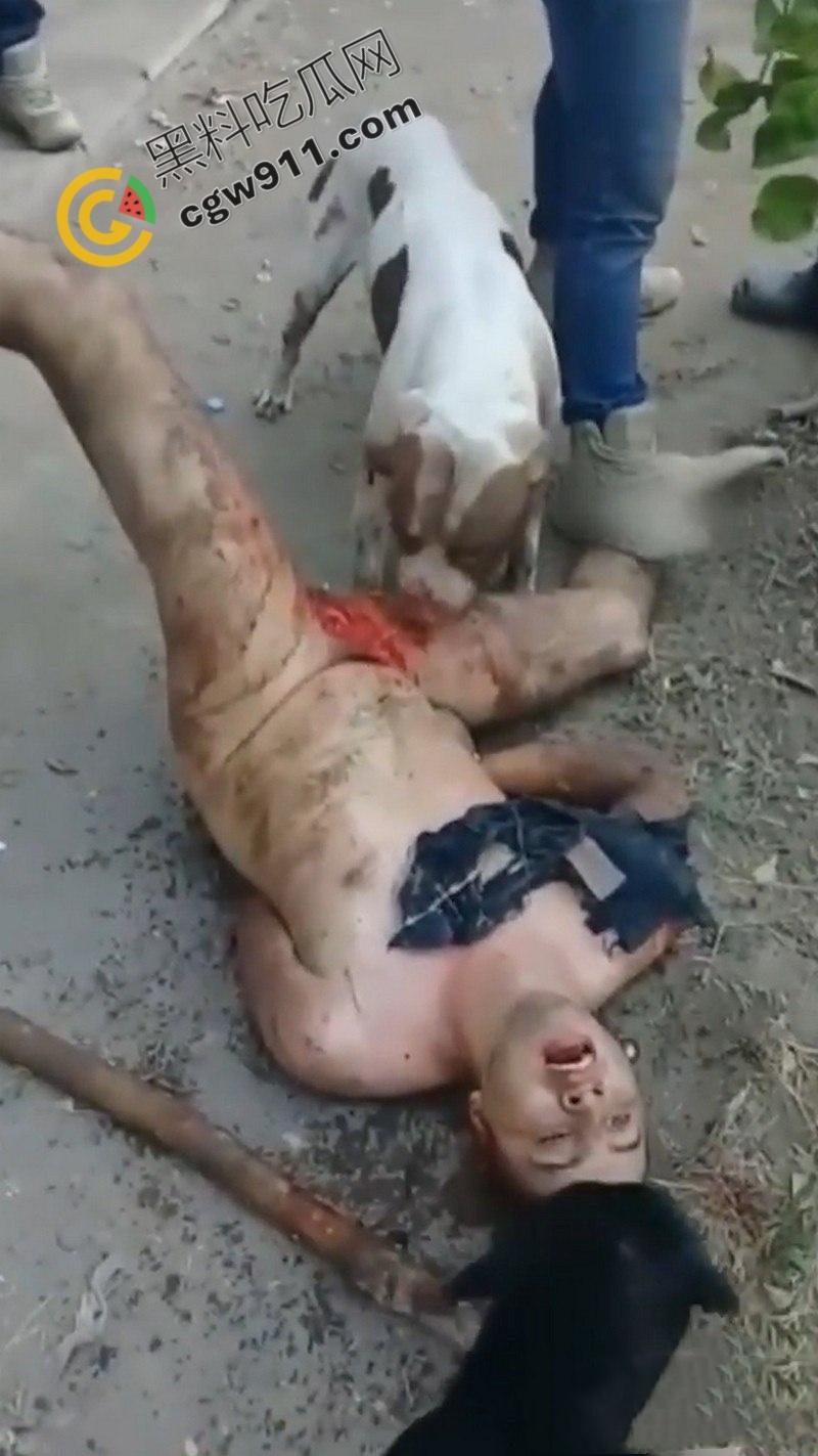 墨西哥城黑帮刑事件:裸男遭受斗牛犬撕咬生吞下体生殖器,画面血腥到令人作呕! 第4张 墨西哥城黑帮刑事件:裸男遭受斗牛犬撕咬生吞下体生殖器,画面血腥到令人作呕! 第4张
