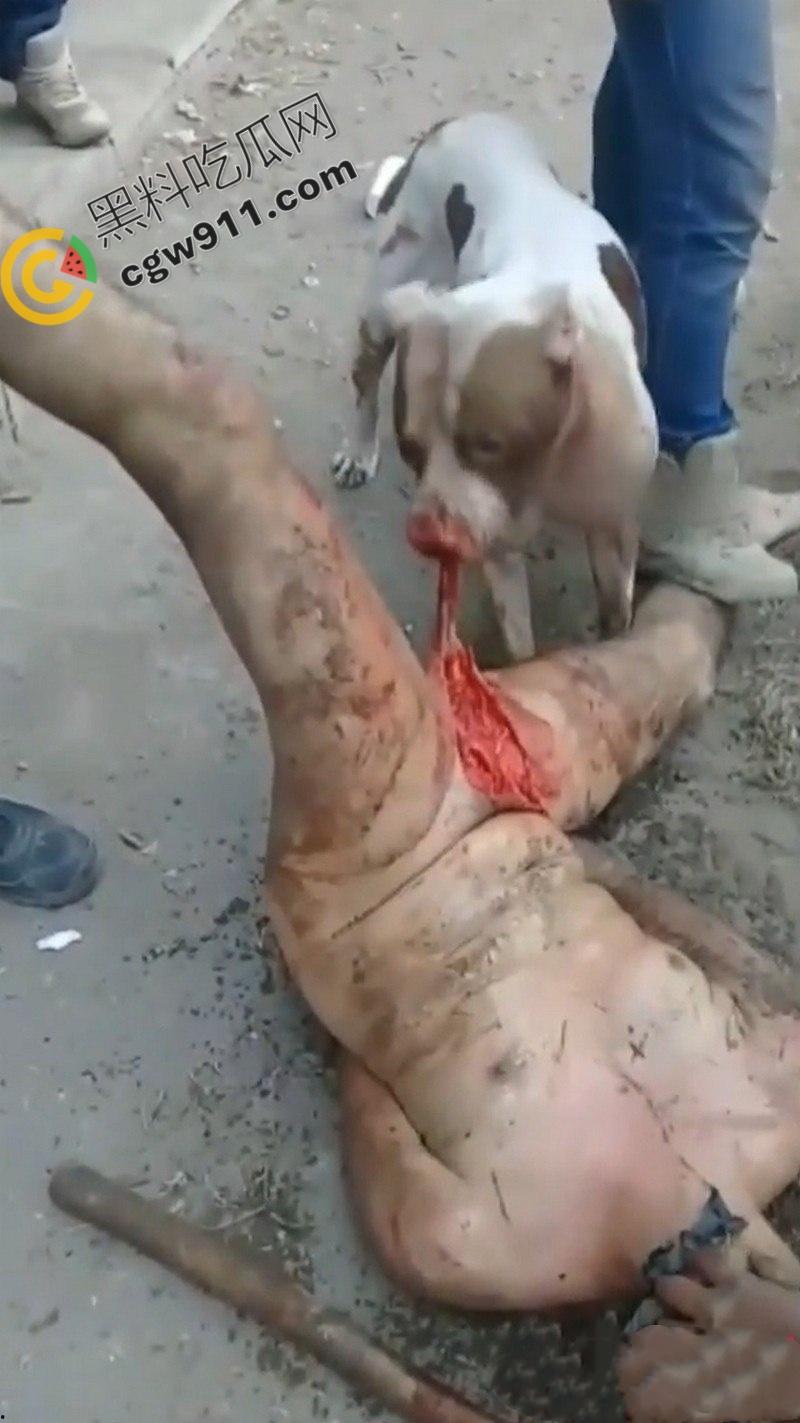 墨西哥城黑帮刑事件:裸男遭受斗牛犬撕咬生吞下体生殖器,画面血腥到令人作呕! 第5张 墨西哥城黑帮刑事件:裸男遭受斗牛犬撕咬生吞下体生殖器,画面血腥到令人作呕! 第5张