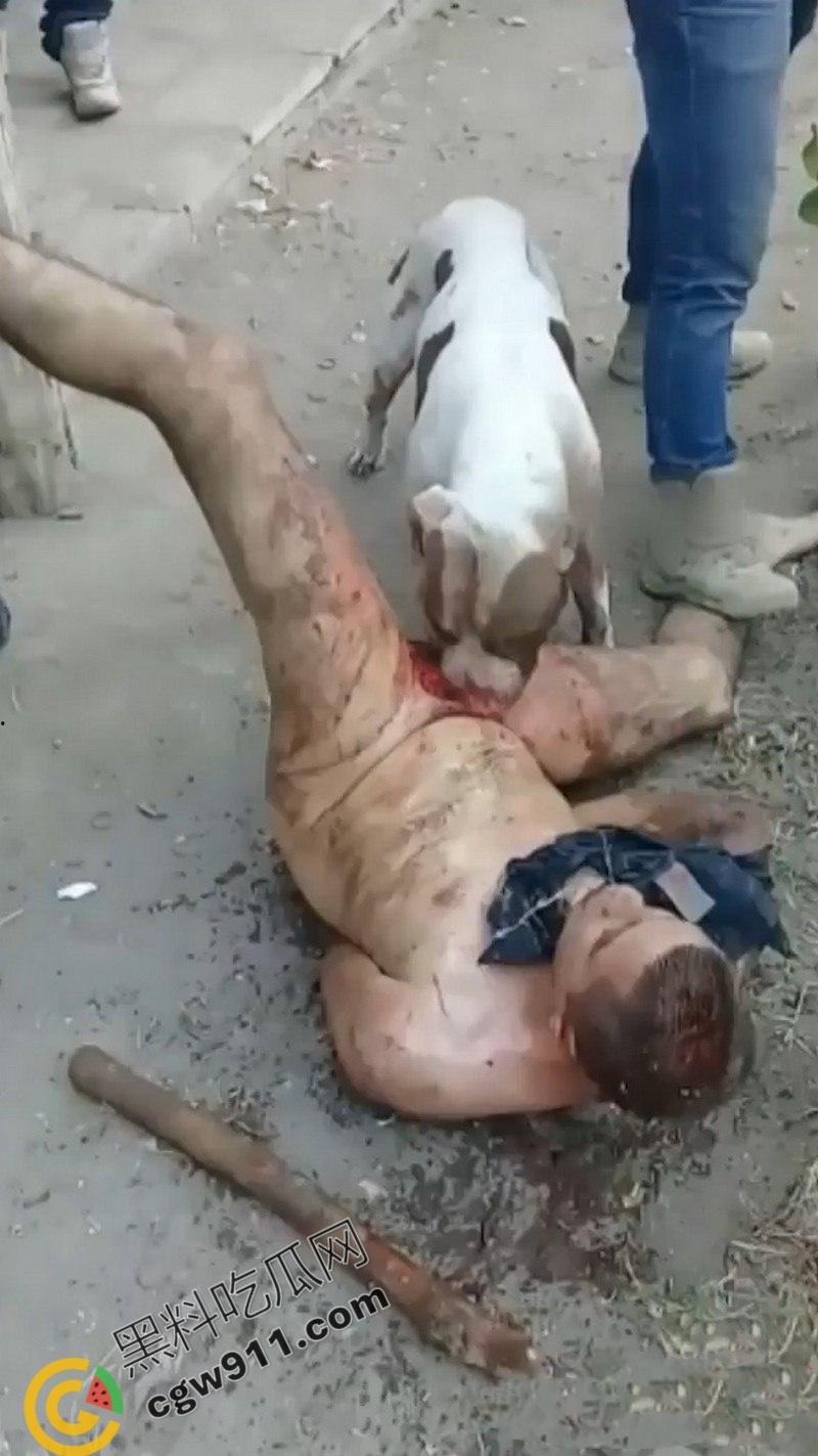 墨西哥城黑帮刑事件:裸男遭受斗牛犬撕咬生吞下体生殖器,画面血腥到令人作呕! 第7张 墨西哥城黑帮刑事件:裸男遭受斗牛犬撕咬生吞下体生殖器,画面血腥到令人作呕! 第7张