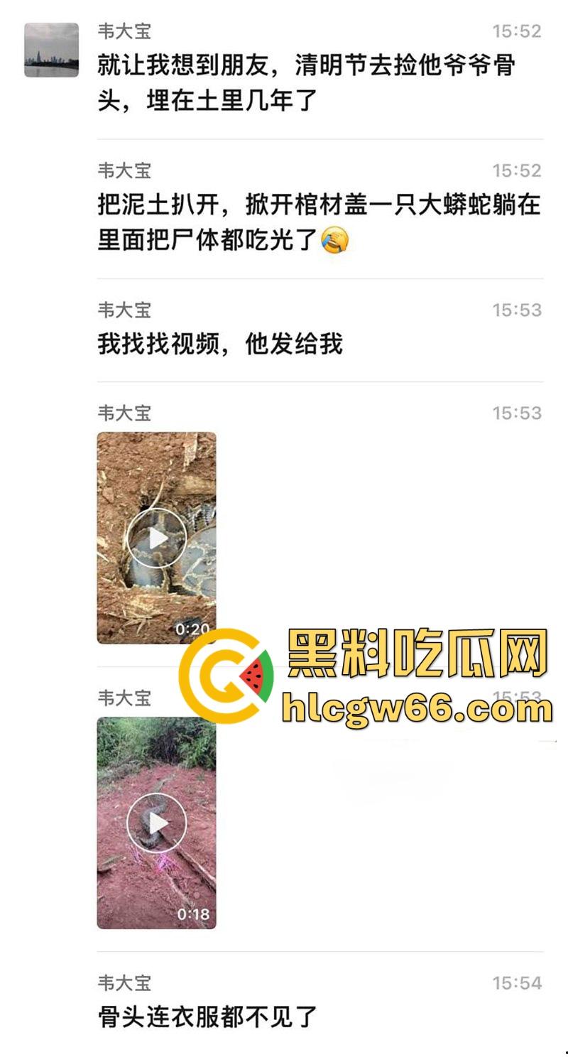 广西迁坟扫墓 棺材内惊现大蟒蛇 尸体被吃光 场面毛骨悚然 果然恐怖电影都源于现实啊！  第1张