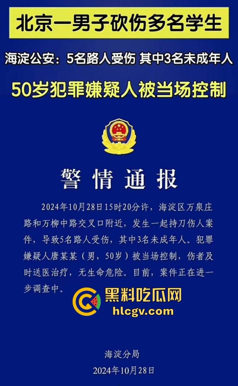 没人性！北京海淀区男子当街砍人报复社会 专挑孩子下手 现场血腥惨烈视频曝光  第1张