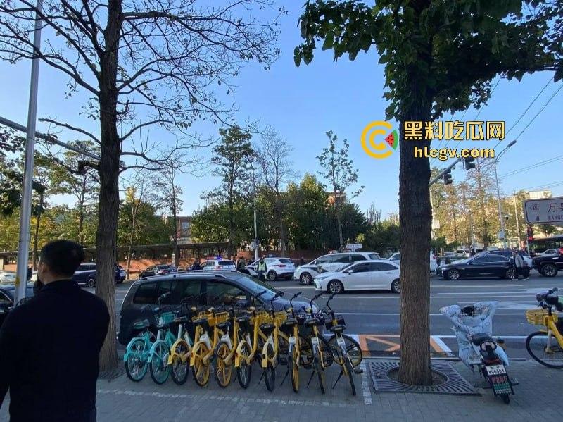 没人性！北京海淀区男子当街砍人报复社会 专挑孩子下手 现场血腥惨烈视频曝光  第9张