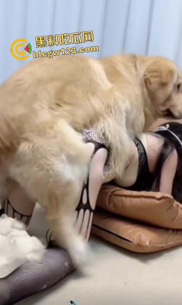 华中科技大学博士【秦妮】连体黑丝被金毛后入肥B叫声，男友在一旁被狗“绿”得真过瘾！  第4张