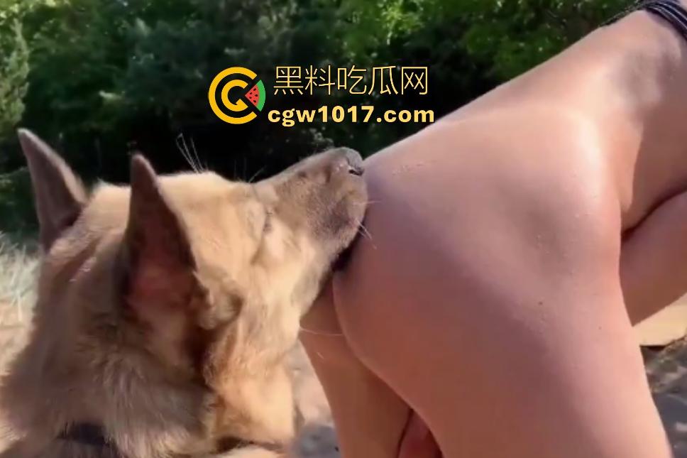 国外美女竟然喜欢和狗杂交！训练大黄狗舌舔骚B，红狗屌后入猛插，射完还要继续舔狗屌，狗子挣脱都怕啦  第3张