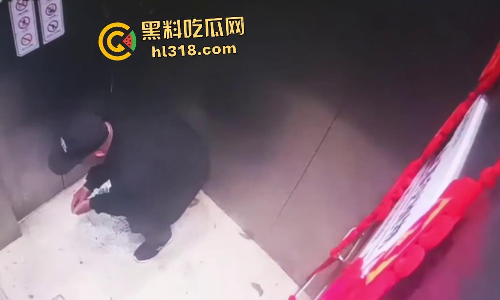 深圳电梯惊现老大爷脱裤拉屎，出电梯一直站在门口不让电梯下去，还忘拉裤子，老年痴呆还是坏人变老？  第3张